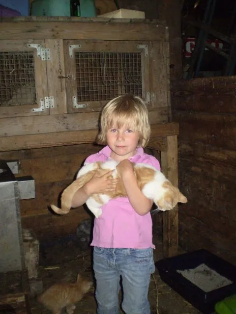 Ein Mädchen hält eine rot-weiße Katze im Arm