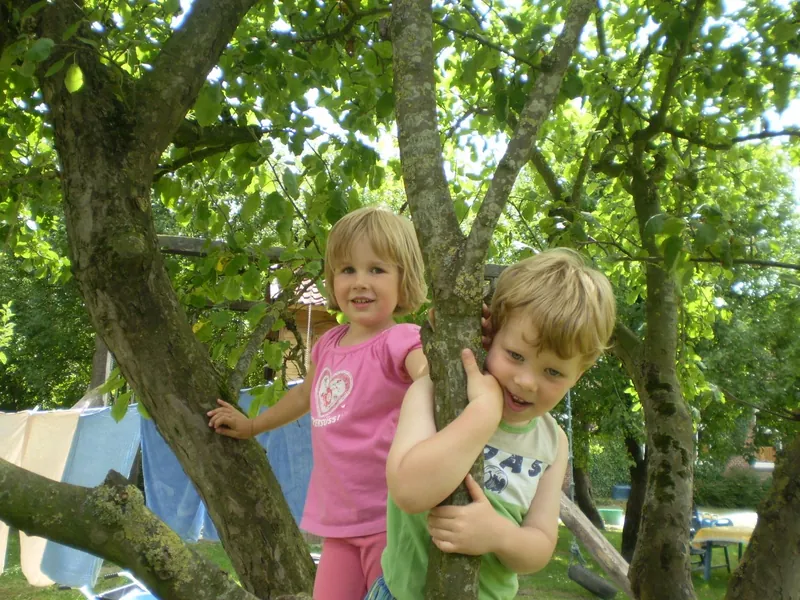 Zwei Kinder klettern lachend in einem Baum