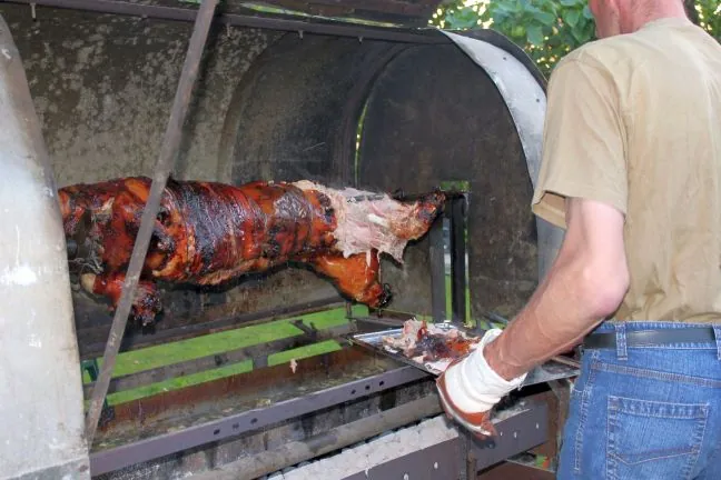 Ein Spanferkel dreht sich am Grill