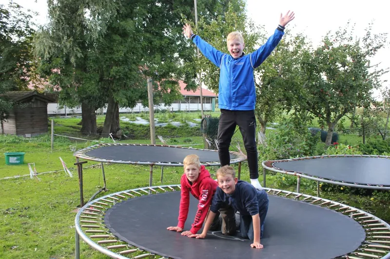 Kinder springen auf den Trampolinen im Garten