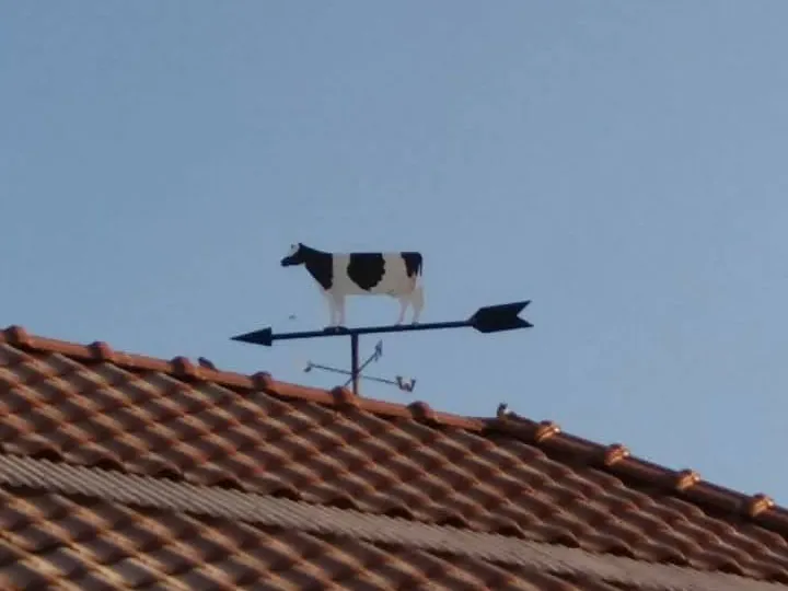 Wetterfahne mit Kuh auf dem Ziegeldach